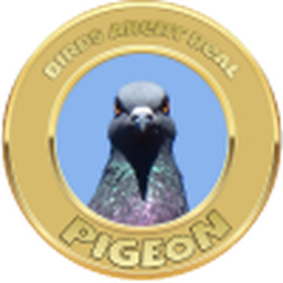 PIGEON