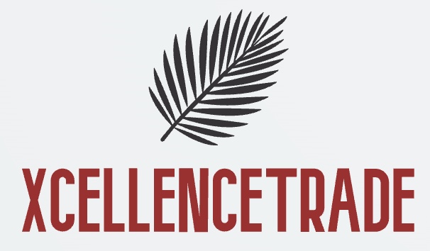 Trader logo